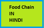 food chain in hindi