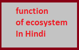 function of ecosystem in hindi