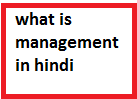 management in hindi