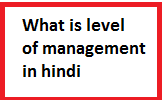 level of management in hindi