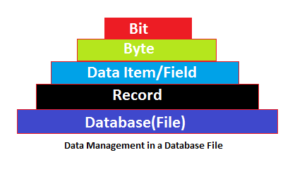 database and its properties in hindi