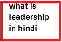 leadership in hindi