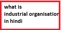 industrial organisation in hindi