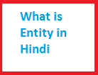 entity in hindi
