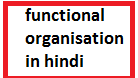 functional organisation in hindi