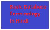 basic database terminology in hindi