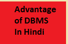 advantage of dbms in hindi