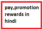 pay,promotion and rewards in hindi