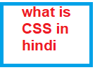 what is css in hindi