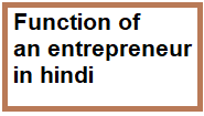 function entrepreneur in hindi