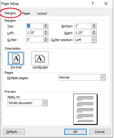 page setup in ms word in hindi