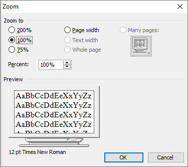 zoom in ms word in hindi