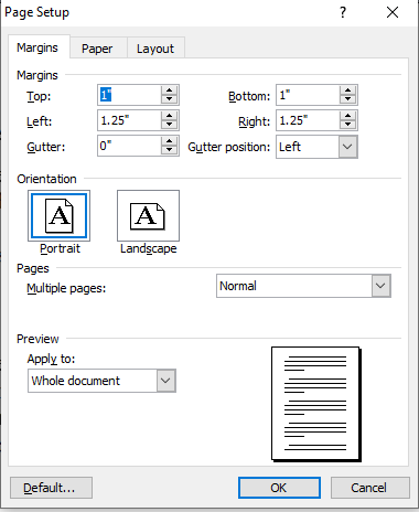 page setup in ms word in hindi