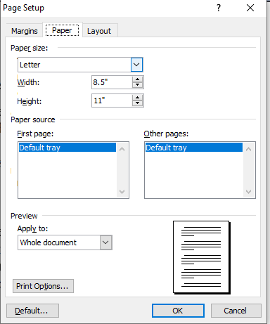 page setup in ms word in hindi