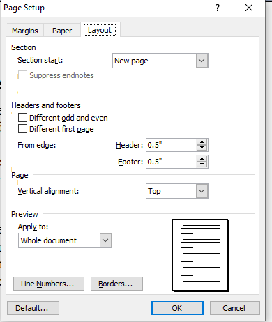 page setup in ms word in hindi