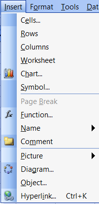 Excel Insert Menu in hindi