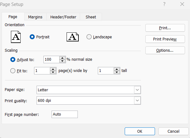 excel-page-setup-in-hindi-excel-page-setu