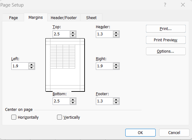 Excel Page Setup in hindi