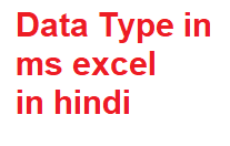 Data Type in ms excel in hindi