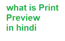 Excel Print Preview hindi