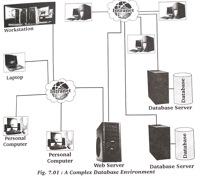 Database Environment in  dbms